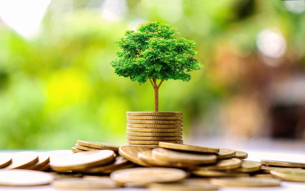 Solfin Launches Performance-Linked Lease in Himachal Pradesh and Punjab