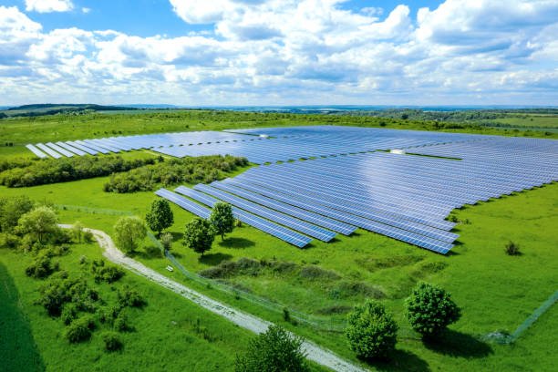 Milky Mist Commissions 10 MW Solar Plant, Achieves 100% Renewable Energy Self-Sufficiency